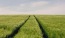 a shadow of a person on a field