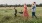 a family walking in a field