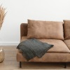 modern couch with plant